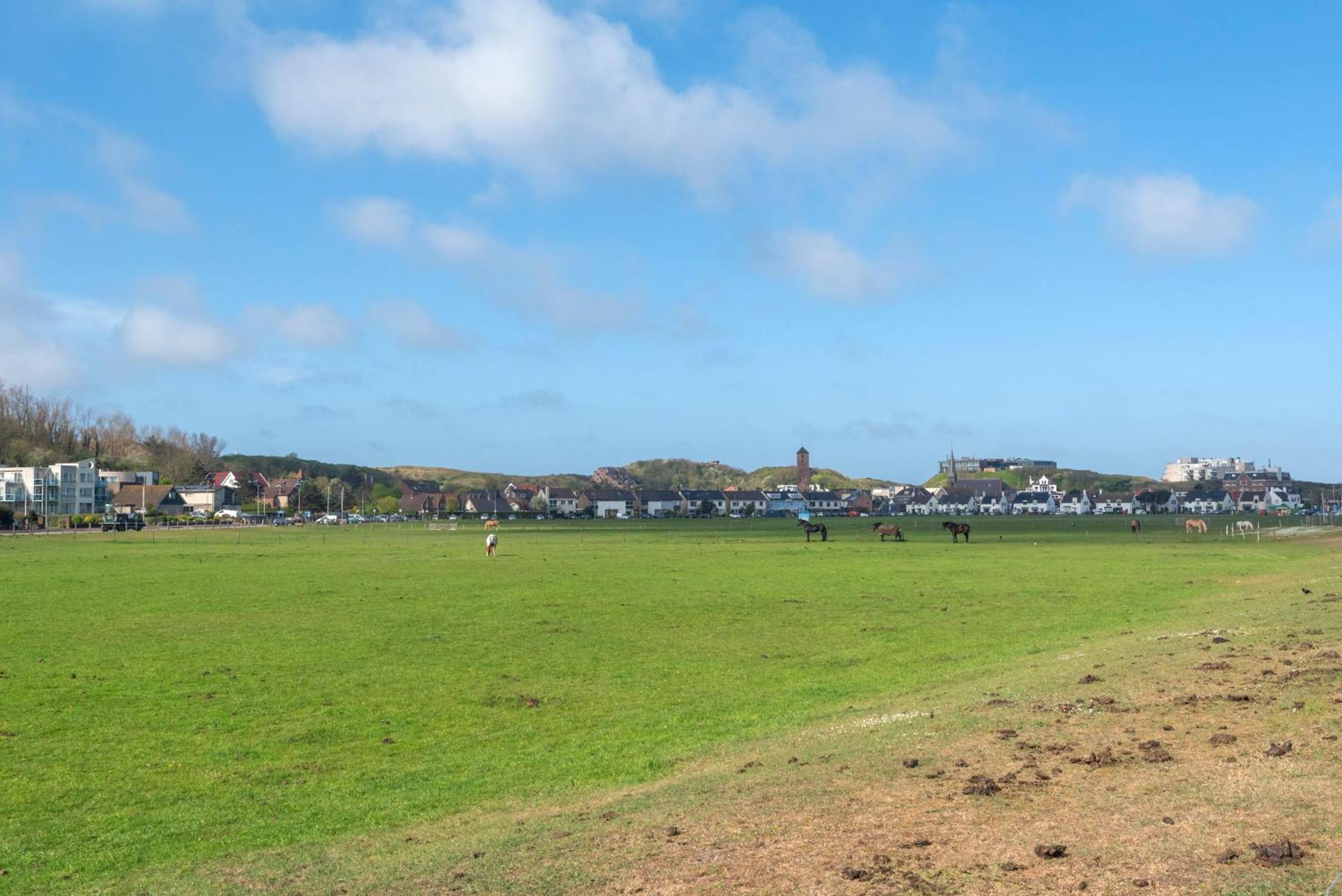 Wijkiki Surf House Lägenhet Wijk aan Zee Exteriör bild