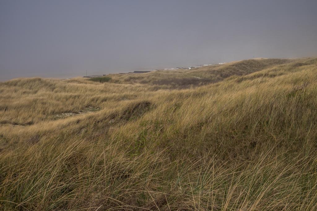 Wijkiki Surf House Lägenhet Wijk aan Zee Exteriör bild